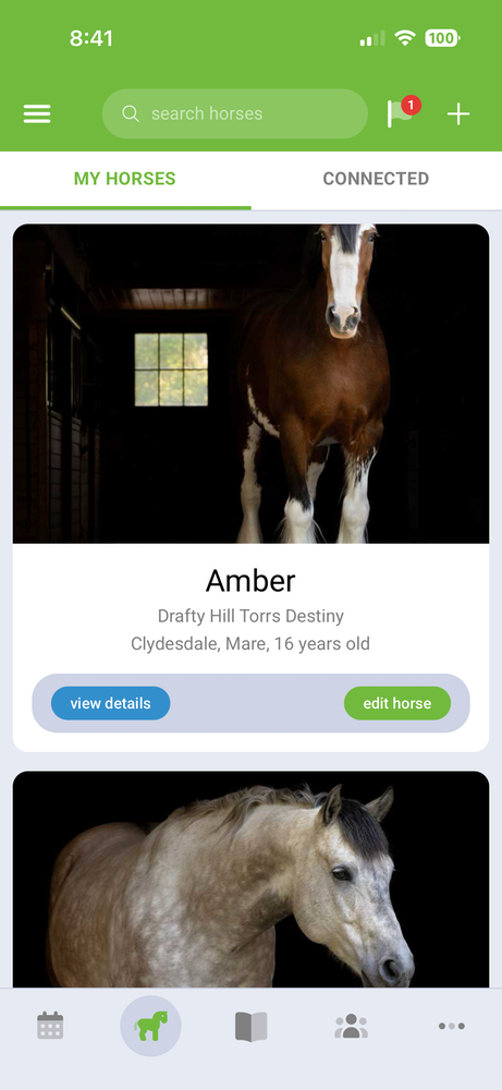 Horse profiles screen