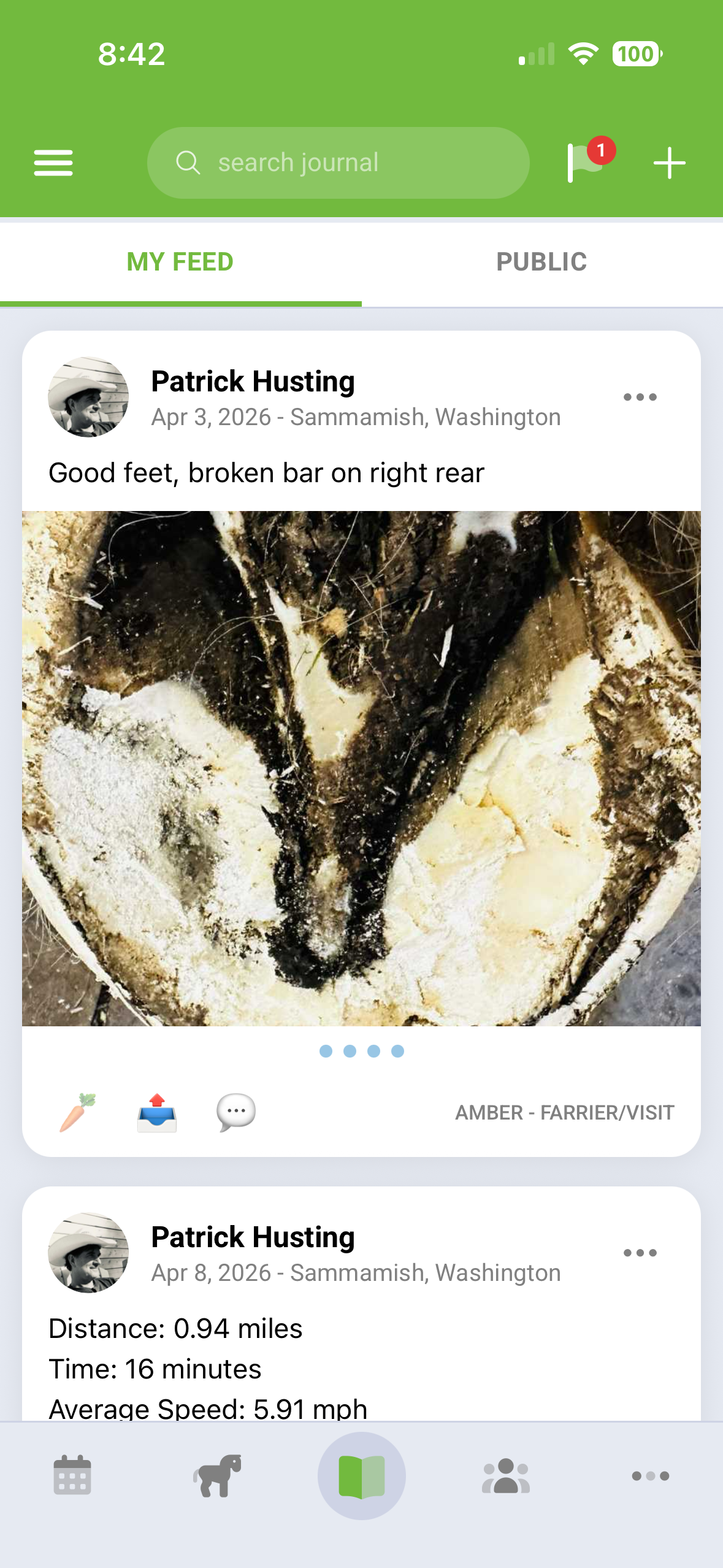 Community journal and activity feed screen