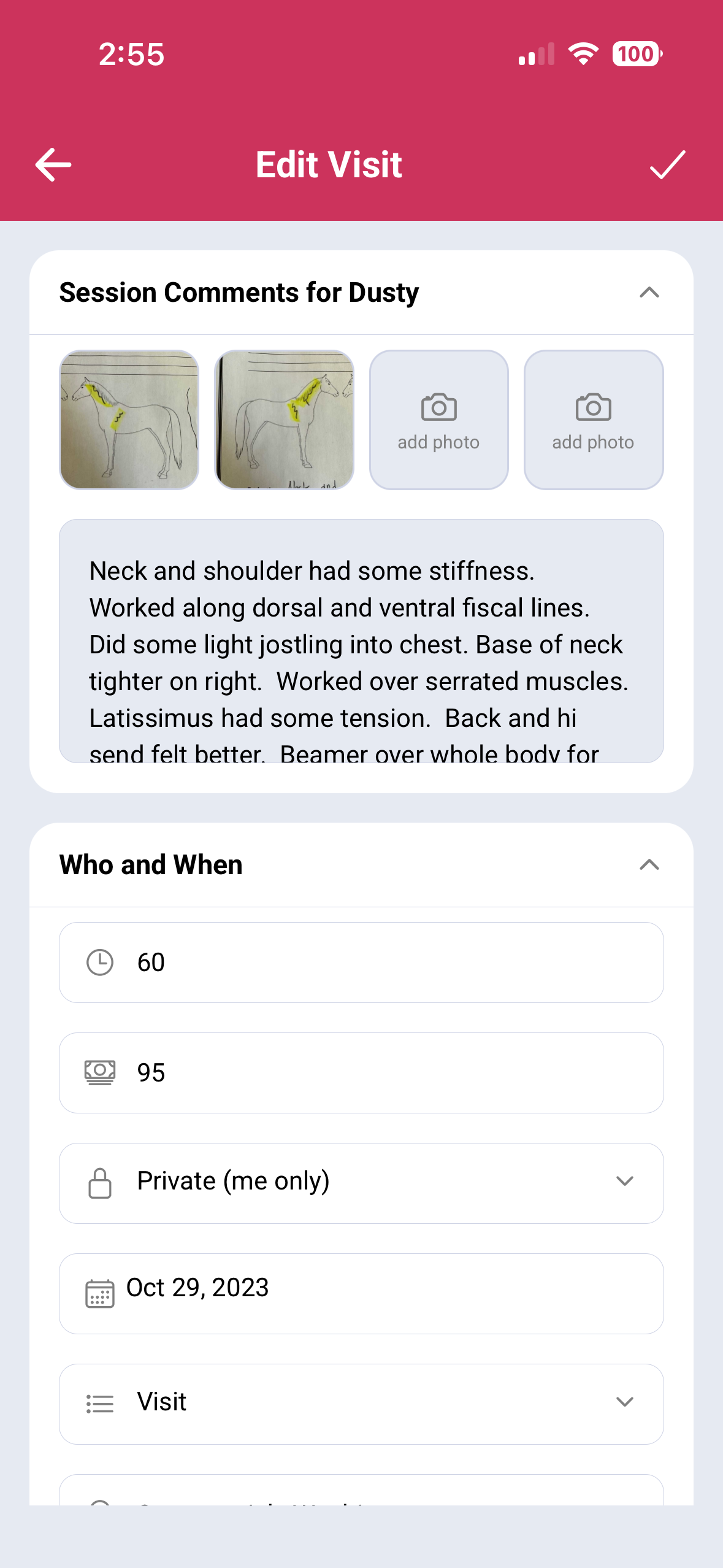 Bodywork journal visit notes